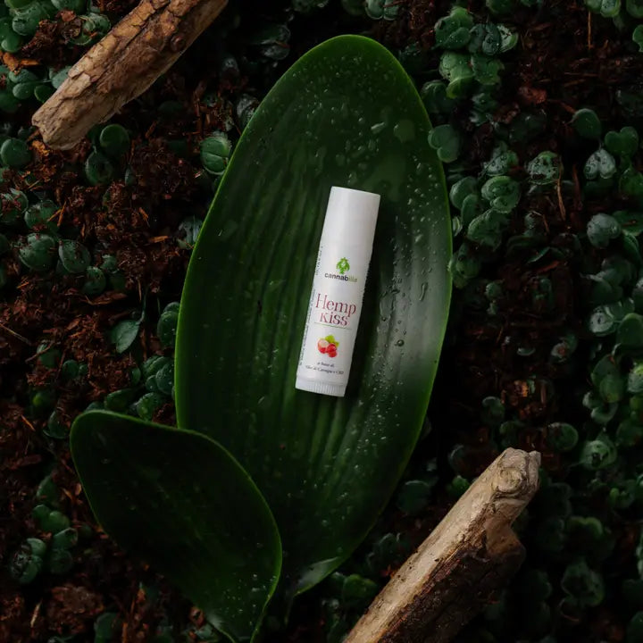 Cannabilla - Hemp Kiss Lippenstift mit Hanfsamenöl – Orange
